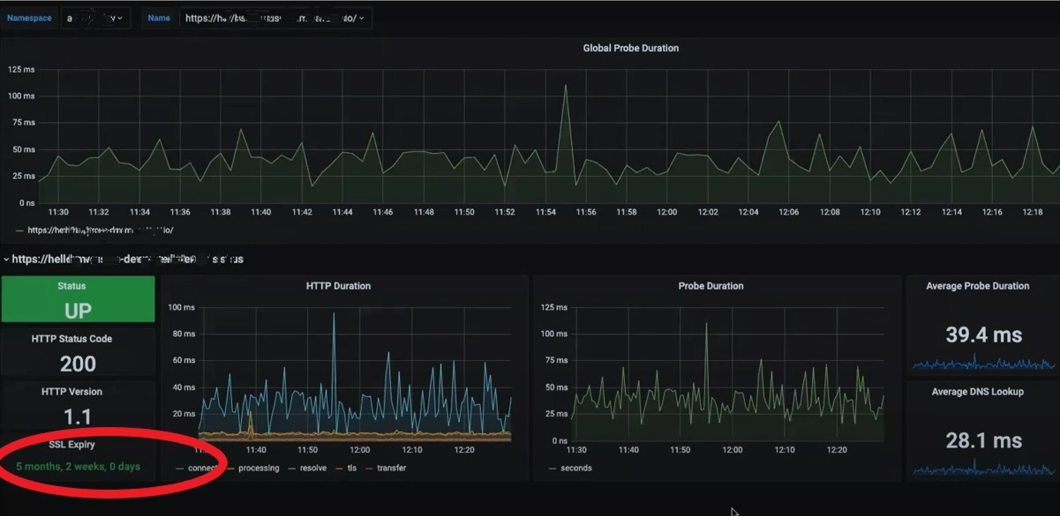 Ingress example in Grafana for Blackbox Exporter