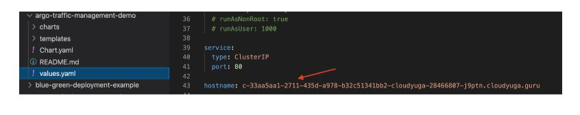 Hostname canary traffic